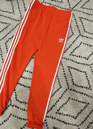 Спортивні штани adidas1 фото