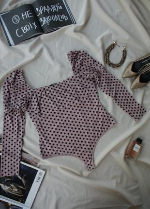 Актуальные боди в горох пудра с пышным рукавом от quiz