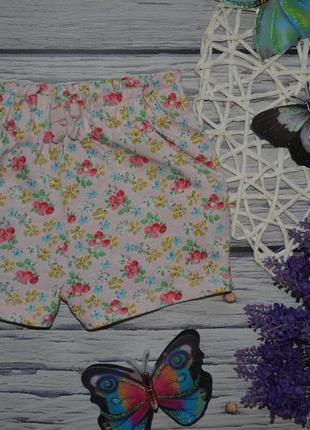 9 - 12 месяцев 80 см обалденные фирменные мягкие трикотажные шорты девочке цветы next некст