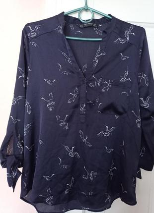 Шикарная блуза птицы от zara