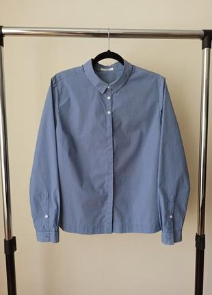 Opus, сорочка.