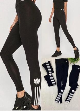 Шикарные лосины adidas