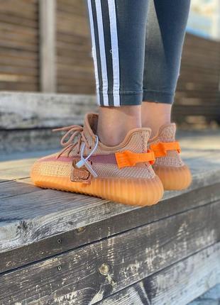 Жіночі кросівки adidas yeezy boost 350 v2 clay8 фото