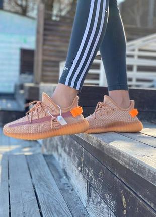 Жіночі кросівки adidas yeezy boost 350 v2 clay3 фото