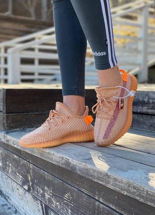 Жіночі кросівки adidas yeezy boost 350 v2 clay4 фото