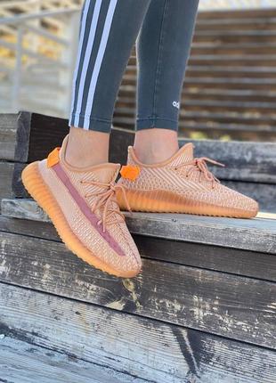 Жіночі кросівки adidas yeezy boost 350 v2 clay6 фото