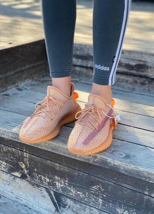 Жіночі кросівки adidas yeezy boost 350 v2 clay9 фото