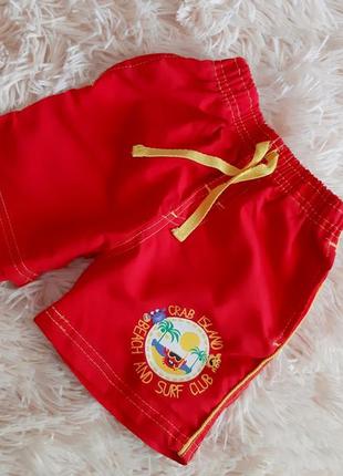 Яркие качественные шортики от early days