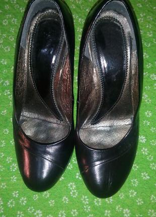 Туфлі шкіра