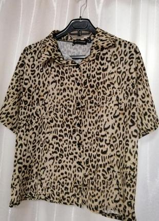 Блуза сорочка принт лео леопард розмитий короткий рукав застібається на гудзики ефектно виглядає як10 фото