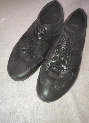 Туфлі geox