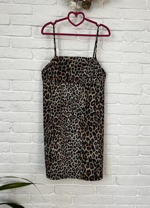 Леопардова сукня / леопардовое платье zara2 фото