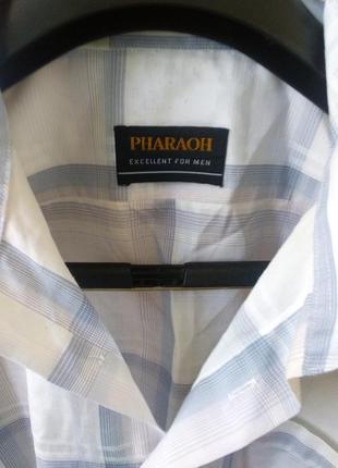 Шведка мужская