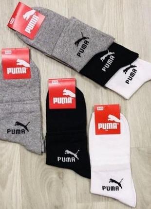 Шкарпетки puma