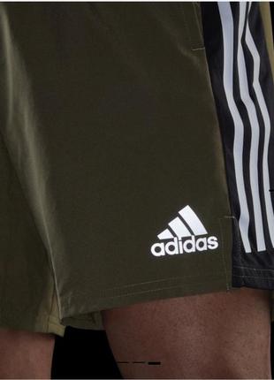 Чоловічі шорти adidas
