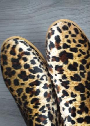 Леопардові черевики3 фото