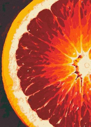 Картина по номерам бланк rb-0109 цитрусове сонце грейпфрут апельсин1 фото