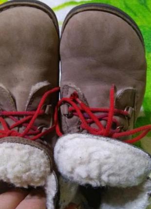 Шкіряні зимові черевики .розмір 31 по стельці 21см.2 фото