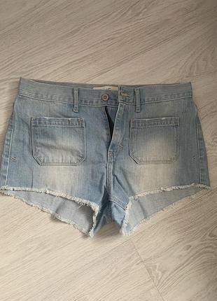 Hollister, 29