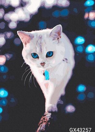 Картина за номерами милий кіток 40 х50см rainbowart в наявності кіт кіт блакитноокий