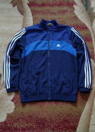 Олимпийка куртка adidas new look contract