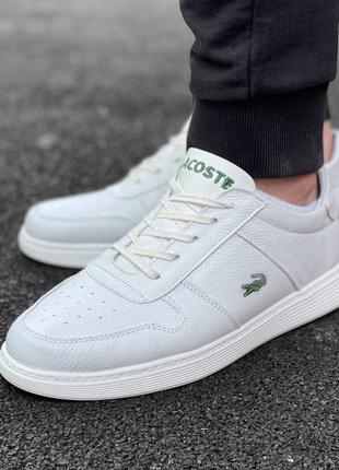 Чоловічі шкіряні білі кросівки lacoste 🆕 кросівки лакоста