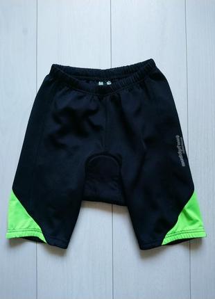 Велошорти muddyfox