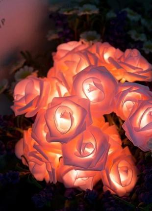 Гірлянда троянди квіти 50 лампочок на 5м від usb рожеві2 фото