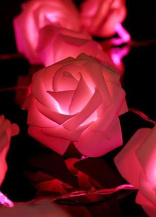 Гірлянда троянди квіти 50 лампочок на 5м від usb рожеві4 фото
