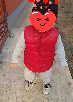 Жилетка жилет