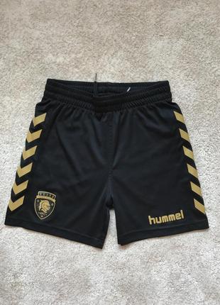 Спортивні шорти hummel