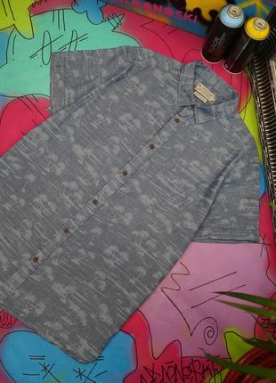 Подовжена гавайка тропічний принт острів,пальми