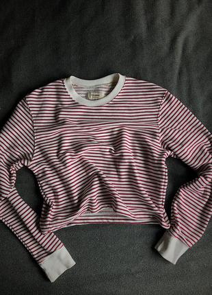 Світшот укорочений