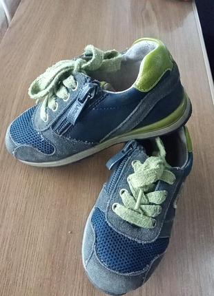 Кросівки шкіра+сітка