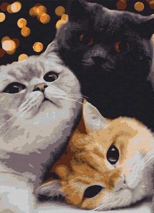 Картина за номерами бланк rb-0295 вечірка три коті три кота котики вогники