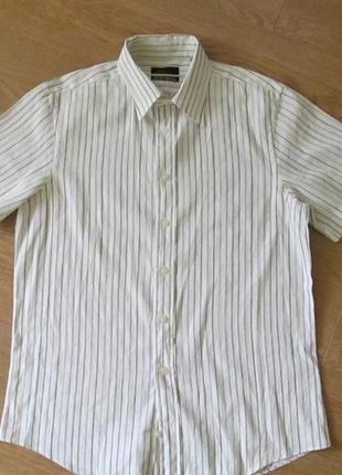 Белая в полоску рубашка zara с коротким рукавом оригинал.1 фото