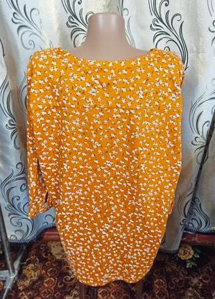 Симпатична жіноча блуза на пишні форми nutmeg5 фото