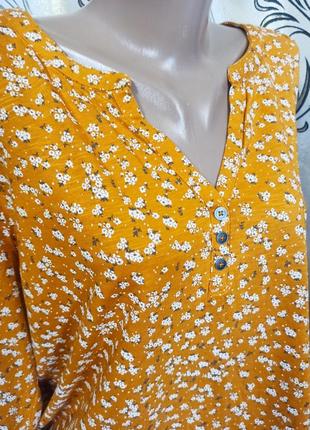 Симпатична жіноча блуза на пишні форми nutmeg3 фото