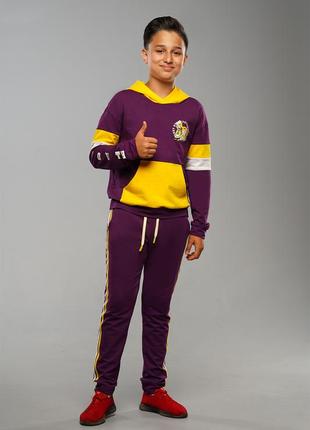 Детский спортивный костюм для мальчиков сэмми кеды фиолетовый на весну осень лето