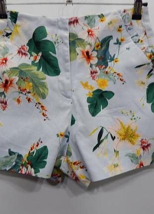 Шорты женские коттон zara basic сток, 42-44 ukr, 36 eur, 051nd (только в указанном размере, только 1 шт)