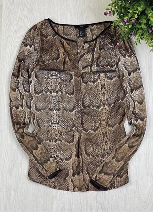 Шикарная блуза нм