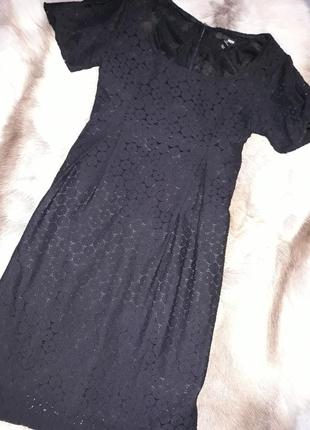Плаття h&m