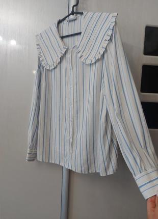 Сорочка papaya