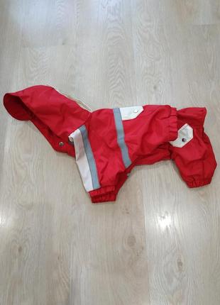 Дождевик. комбинезон и курточка.