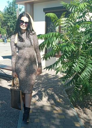 Леопардова сукня міді / леопардовое платье миди1 фото