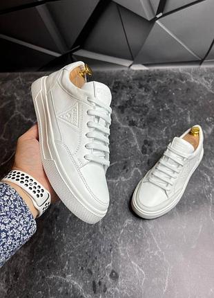 Кеды мужские кожаные guess