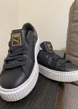 Кросівки puma basket
