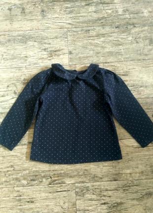 Блуза реглан для дівчинки 2-3 роки nutmeg