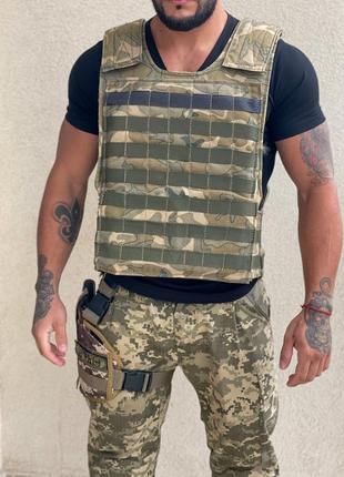 Плитоноска