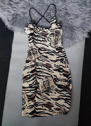 Плаття🐯